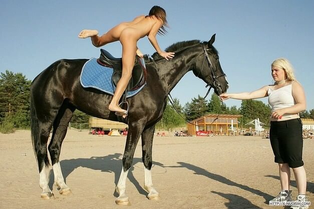 Ride on horseback - Watching naked nudists