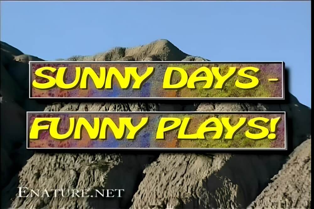 Enature - Sunny Days – Funny Plays - A love of the sun and fresh air are important values for those who practice naturism and nudism