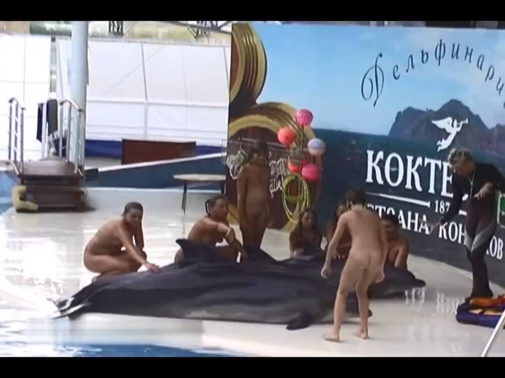Relaxing at the dolphinarium - It is a philosophy based on trust and respect for the naked body and nature